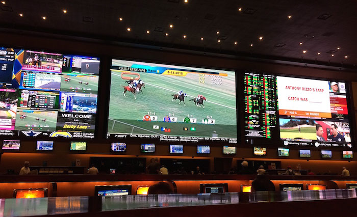 Red Rock Race and Sportsbook